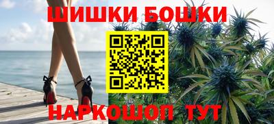 крисы Дубна