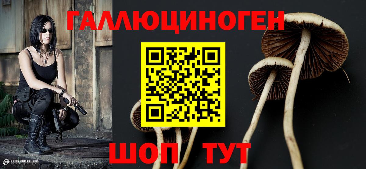 Псилоцибиновые грибы прущие грибы  дарнет шоп  Вход с VPN  Дзержинск  Галлюциногенные грибы ЛСД 